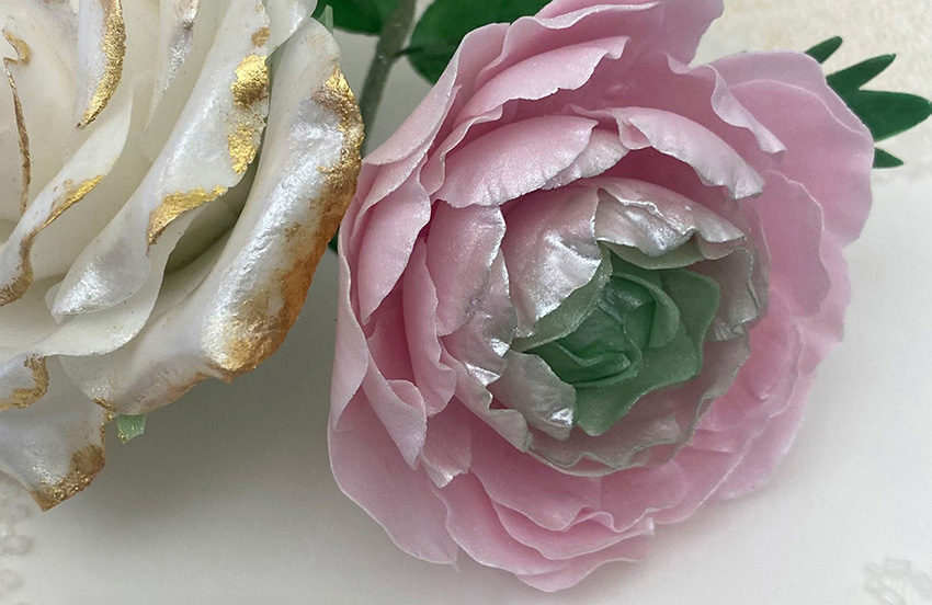 sockerblomma-ranunke-i-rosa-och-gront